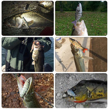 Load image into Gallery viewer, 1PC 10CM/16G Rechargeable LED Green Light Lure Bait ABS Electronic Mechanical Vibration Long Casting Fishing Bait