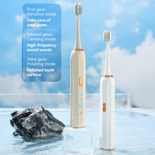Load image into Gallery viewer, Sonic Electric Adult Toothbrush Battery/USB Rechargeable IPX6 Waterproof Toothbrushes High Frequency Cleaning Oral Healthy Care