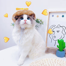Load image into Gallery viewer, Mini Pet Cat Dogs Summer Straw Hat with Bamboo Dragonfly Hawaii Style Hat for Cats Dogs Funny Accessories