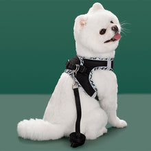 Load image into Gallery viewer, Small Medium Pet Dog Harness for Outdoor Use Set Dog Vest Strap Adjustable Breathable Harness for Dogs Puppy and Cats