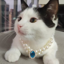 Load image into Gallery viewer, Ellipse Heart Shape Diamond Inlaid Pet Cat Collar Pets Shiny Crystal Collars Footprints Accessories For Kitten Dog Collar Cat Necklace