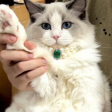 Load image into Gallery viewer, Ellipse Heart Shape Diamond Inlaid Pet Cat Collar Pets Shiny Crystal Collars Footprints Accessories For Kitten Dog Collar Cat Necklace