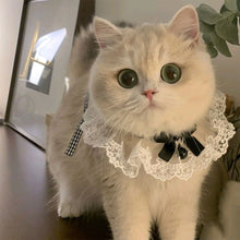 Load image into Gallery viewer, Lace Bowknot Pearl Collar Cat Dog Neckerchief Pet Cats Kitten Dog Puppy String Bib Necklace Necktie Neck Strap Scarf Accessories