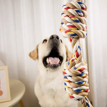 Load image into Gallery viewer, Dog Rope Toys Dental Chew Rope for Dogs Durable Puppy Teething Relief Toys Cotton Interactive Tug of War Rope Multi-Knot Bundle