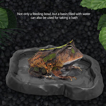 Load image into Gallery viewer, Simulated Natural Rock Shape Reptile Food Water Bowl Bathing Dish Dual Use Bowl For Turtles Lizard Snake Frog