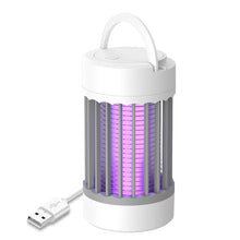 Load image into Gallery viewer, Electric Mosquitoes Killer Lamp Indoor Attractant Fly Trap For Mosquitoes Indoor USB Plug Mosquitoes Trap Light Lamp