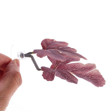 Load image into Gallery viewer, Betta Leaf Hammock with Suction Cup Artificial Aquarium Plant Resting Bed for Betta Fish Fish Tank Decorative Floating Plant