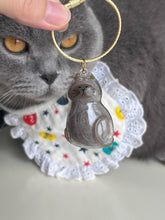 Load image into Gallery viewer, 1/6pcs Kawaii Cat Hair Storage Box Transparent Pet Hair Keepsake Pendant for Pet Memorial Healing Pendant Cat Lover Keyring Accessory