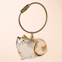 Load image into Gallery viewer, 1/6pcs Kawaii Cat Hair Storage Box Transparent Pet Hair Keepsake Pendant for Pet Memorial Healing Pendant Cat Lover Keyring Accessory