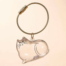 Load image into Gallery viewer, 1/6pcs Kawaii Cat Hair Storage Box Transparent Pet Hair Keepsake Pendant for Pet Memorial Healing Pendant Cat Lover Keyring Accessory