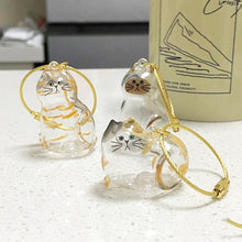 Load image into Gallery viewer, 1/6pcs Kawaii Cat Hair Storage Box Transparent Pet Hair Keepsake Pendant for Pet Memorial Healing Pendant Cat Lover Keyring Accessory