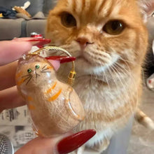 Load image into Gallery viewer, 1/6pcs Kawaii Cat Hair Storage Box Transparent Pet Hair Keepsake Pendant for Pet Memorial Healing Pendant Cat Lover Keyring Accessory