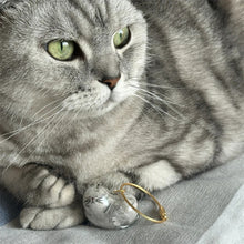 Load image into Gallery viewer, 1/6pcs Kawaii Cat Hair Storage Box Transparent Pet Hair Keepsake Pendant for Pet Memorial Healing Pendant Cat Lover Keyring Accessory
