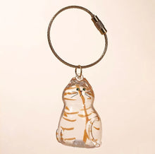 Load image into Gallery viewer, 1/6pcs Kawaii Cat Hair Storage Box Transparent Pet Hair Keepsake Pendant for Pet Memorial Healing Pendant Cat Lover Keyring Accessory