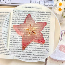 Load image into Gallery viewer, Creative Fruit Slice Bookmark With Simulation Funny Design Sense For INS Fixed Book Photography Cartoon Cute Note Bookmark