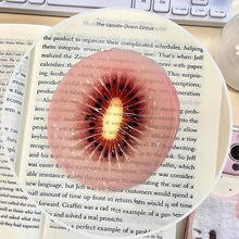 Load image into Gallery viewer, Creative Fruit Slice Bookmark With Simulation Funny Design Sense For INS Fixed Book Photography Cartoon Cute Note Bookmark