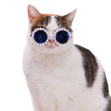 Load image into Gallery viewer, For Labubu Glasses 8cm Cute Plastic Glasses for 17cm Labubu 20cm Cotton Dolls Toy Glasses Accessories