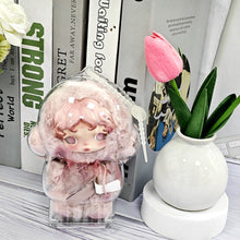 Load image into Gallery viewer, 1PC Protective Acrylic Storage Case For Skull Panda Plush Dolls Display Bag No Doll Transparent Portable Cable Organizer Box