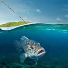 Load image into Gallery viewer, 1Roll 300M 3D Invisible Spotted Fishing Line Strong Tensile Strength And Wear-Resistant Fishing Main Line Camouflage Color-Changing Nylon Line Fishing Tackle Accessory