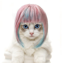 Load image into Gallery viewer, Pet Wigs Cosplay Props Funny Dogs Cats Cross-Dressing Hair Hat Costumes Head Accessories For Halloowen Christmas Pets Supplies