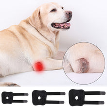 Load image into Gallery viewer, Dog Hock Support Canine Rear Injury Recovery Fixed Leg Support Brace Pain Relief Dog Knee Pads Knee Brace Joint Wrap Support Pet Recover