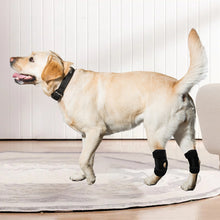 Load image into Gallery viewer, Dog Hock Support Canine Rear Injury Recovery Fixed Leg Support Brace Pain Relief Dog Knee Pads Knee Brace Joint Wrap Support Pet Recover