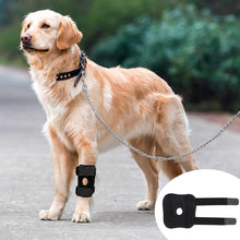 Load image into Gallery viewer, Dog Hock Support Canine Rear Injury Recovery Fixed Leg Support Brace Pain Relief Dog Knee Pads Knee Brace Joint Wrap Support Pet Recover