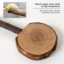 Load image into Gallery viewer, 6-10cm Wooden Bird Perches Platform Parrot Standing Platform Stand Playstand Cage Accessories Paw Grinding For Parakeet