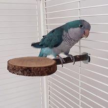 Load image into Gallery viewer, 6-10cm Wooden Bird Perches Platform Parrot Standing Platform Stand Playstand Cage Accessories Paw Grinding For Parakeet