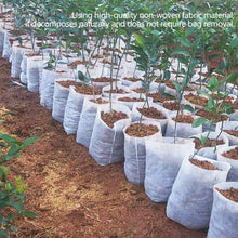 Load image into Gallery viewer, 100Pcs Biodegradable Plant Grow Bags Non-Woven Nursery Pots for Seed Starting Home Garden Accessories Tools