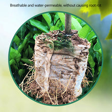 Load image into Gallery viewer, 100Pcs Biodegradable Plant Grow Bags Non-Woven Nursery Pots for Seed Starting Home Garden Accessories Tools