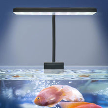 Load image into Gallery viewer, USB Aquarium LED Planted Tank Light Clip-on 6-Row LED Aquascaping Lamp For Nano Fish Planted Tank Betta/Small Aquariums Accessories