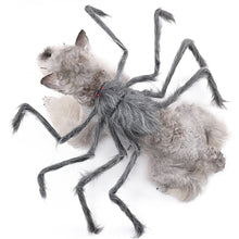 Load image into Gallery viewer, Novelty Halloween Pet Spider Costume Cute Dogs Cats Vibrant Plush Spider Outfit Easy Wear Pet Party Cosplay Dress Suit Pet Costume