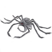 Load image into Gallery viewer, Novelty Halloween Pet Spider Costume Cute Dogs Cats Vibrant Plush Spider Outfit Easy Wear Pet Party Cosplay Dress Suit Pet Costume