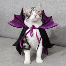 Load image into Gallery viewer, Cute Halloween Bat Cape for Dogs Cats Vampire Cape Cat Costume Spooky Party Pet Cosplay Transform Outfit Halloween Pet cat/Big Dog Accessory