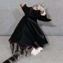 Load image into Gallery viewer, Cute Halloween Bat Cape for Dogs Cats Vampire Cape Cat Costume Spooky Party Pet Cosplay Transform Outfit Halloween Pet cat/Big Dog Accessory