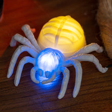 Load image into Gallery viewer, New Halloween Glowing Spider LED Night Light Battery-Operated Dual-Color Glowing Eyes Spider Hot Halloween Party Supply