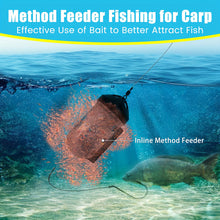 Load image into Gallery viewer, European Carp Fishing Worm Bait Cage Bait Feeder With Weight And Swivel Anti-Snag Hollow Bait Thrower Fishing Tackle Supplies