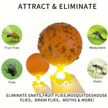 Load image into Gallery viewer, Sticky Fly Trap Glue Ball Mosquito Catcher USB Night Light Disposable Replaceable Glue Balls Fruit Fly Catcher Kitchen Safe Pet Insect Trap