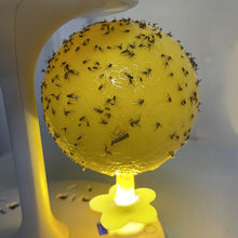 Load image into Gallery viewer, Sticky Fly Trap Glue Ball Mosquito Catcher USB Night Light Disposable Replaceable Glue Balls Fruit Fly Catcher Kitchen Safe Pet Insect Trap