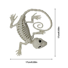 Load image into Gallery viewer, Fake Animal Skeleton Model Halloween Decor Dog Bat Spider Scorpion Cat Skeleton Scary Pendant Props Haunted House Graveyard Scene Accessories