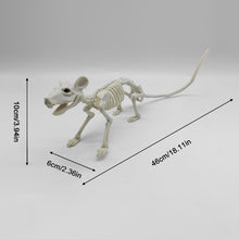 Load image into Gallery viewer, Fake Animal Skeleton Model Halloween Decor Dog Bat Spider Scorpion Cat Skeleton Scary Pendant Props Haunted House Graveyard Scene Accessories