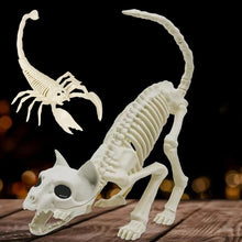 Load image into Gallery viewer, Fake Animal Skeleton Model Halloween Decor Dog Bat Spider Scorpion Cat Skeleton Scary Pendant Props Haunted House Graveyard Scene Accessories