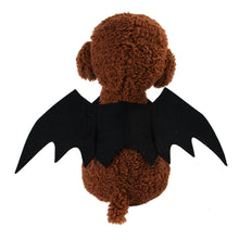 Load image into Gallery viewer, Cute Halloween Bat Cape for Dogs Cats Vampire Cape Cat Costume Spooky Party Pet Cosplay Transform Outfit Halloween Pet cat/Big Dog Accessory