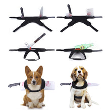 Load image into Gallery viewer, Halloween Pet Costume Dog Cat Outfit Funny Pet Transform Spooky Pet Accessory Festive Pet Apparel Pet Party Wear