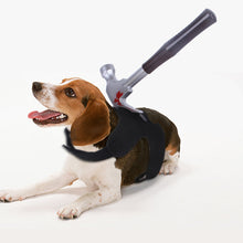 Load image into Gallery viewer, Halloween Pet Costume Dog Cat Outfit Funny Pet Transform Spooky Pet Accessory Festive Pet Apparel Pet Party Wear