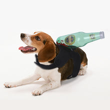 Load image into Gallery viewer, Halloween Pet Costume Dog Cat Outfit Funny Pet Transform Spooky Pet Accessory Festive Pet Apparel Pet Party Wear