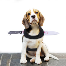 Load image into Gallery viewer, Halloween Pet Costume Dog Cat Outfit Funny Pet Transform Spooky Pet Accessory Festive Pet Apparel Pet Party Wear