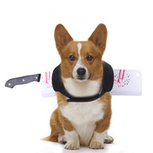 Load image into Gallery viewer, Halloween Pet Costume Dog Cat Outfit Funny Pet Transform Spooky Pet Accessory Festive Pet Apparel Pet Party Wear