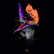 Load image into Gallery viewer, Halloween Pet Hat Adjustable for Cats Dogs Funny Party Hats Cute Devil Costume Trick or Treat Gear Satanic Pet Accessories